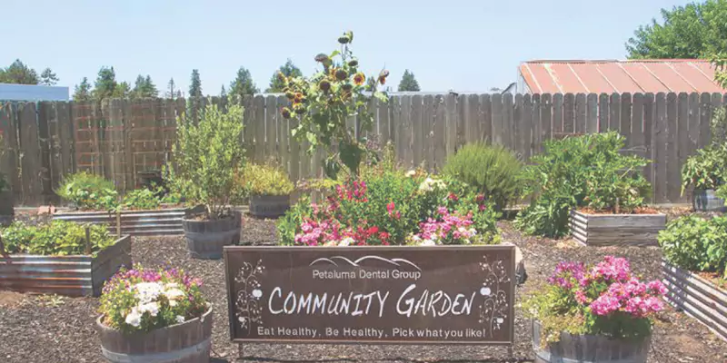 Serving Petaluma since 1974
