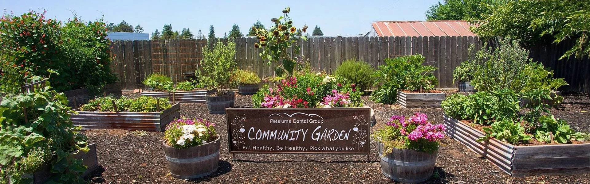 Serving Petaluma since 1974